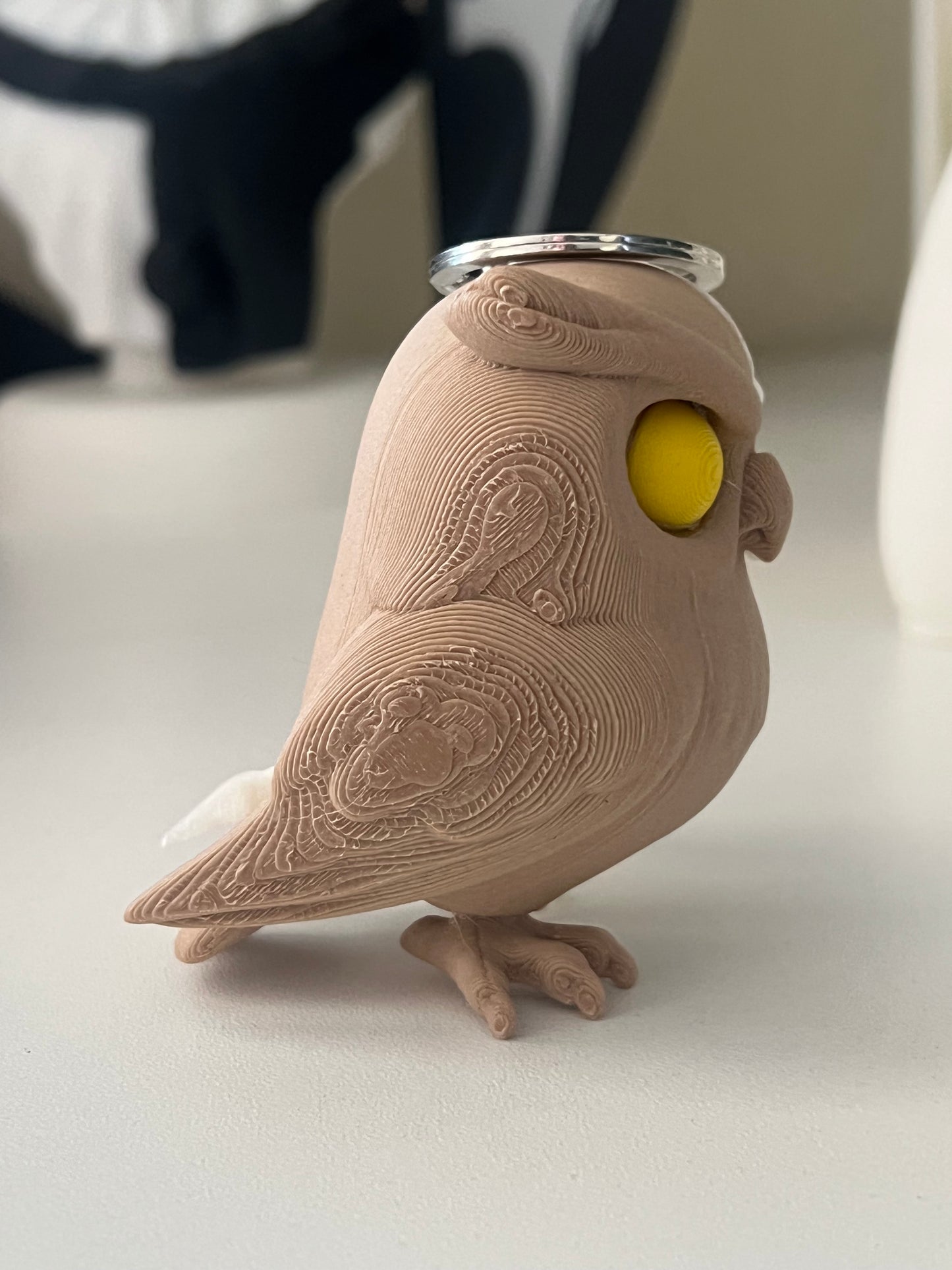 Owl