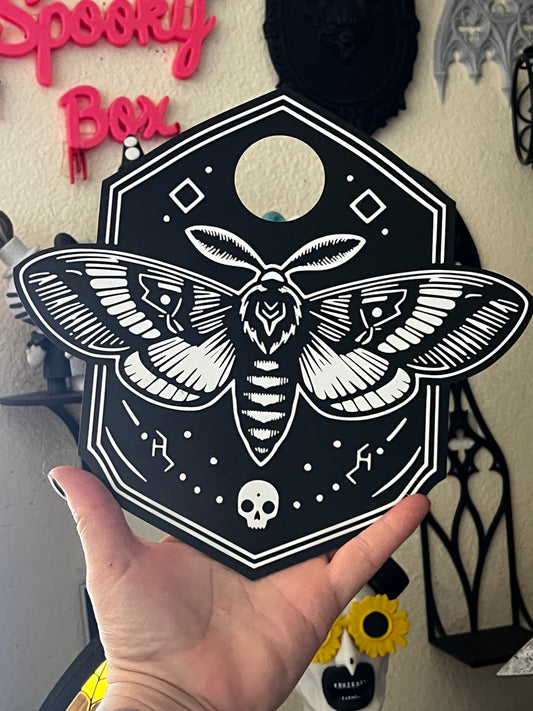 Moth Wall Art